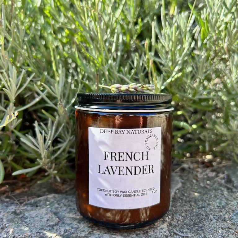 french lavender essential oil candle
